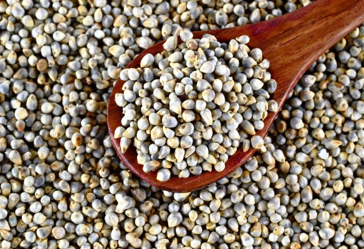 Pearl Millets